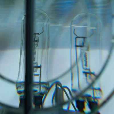 Bulbs