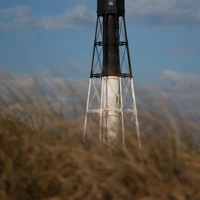 Beach Grass